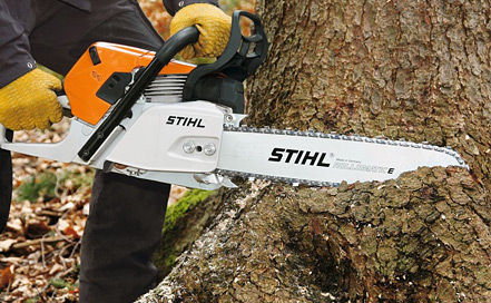 Stihl Chainsaw Cutting Stump