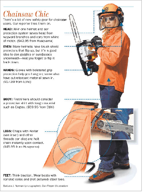 Chainsaw Safety Infographic