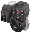 Briggs and Stratton Small Motors