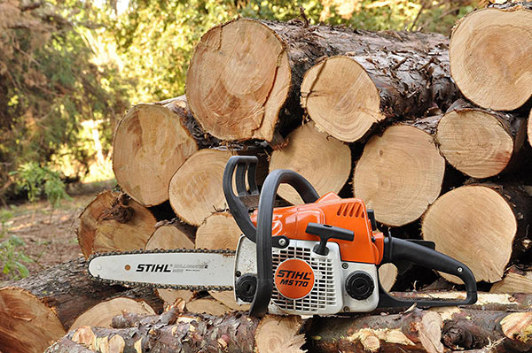 STIHL Chainsaws  Available for In-Store Purchase only