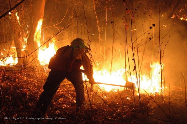 Wildland Firefighter